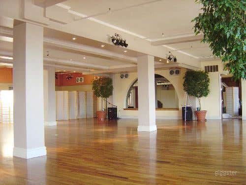 Manhattan Penthouse Photo 4