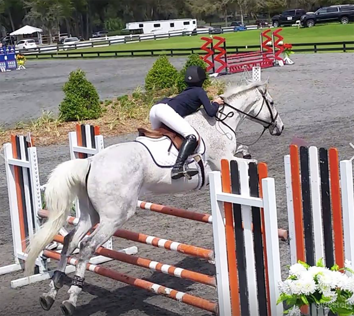 Riding Academy/Horse Ranch Photo 1