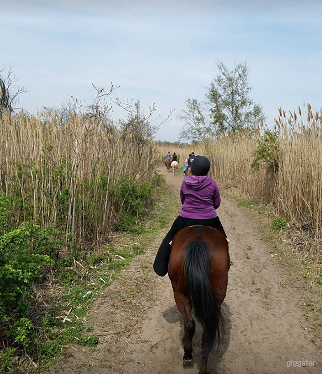 Riding Academy/Horse Ranch Photo 4