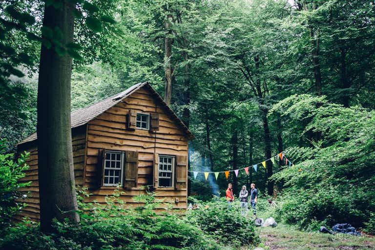  Gorgeous Woodland Cabin 