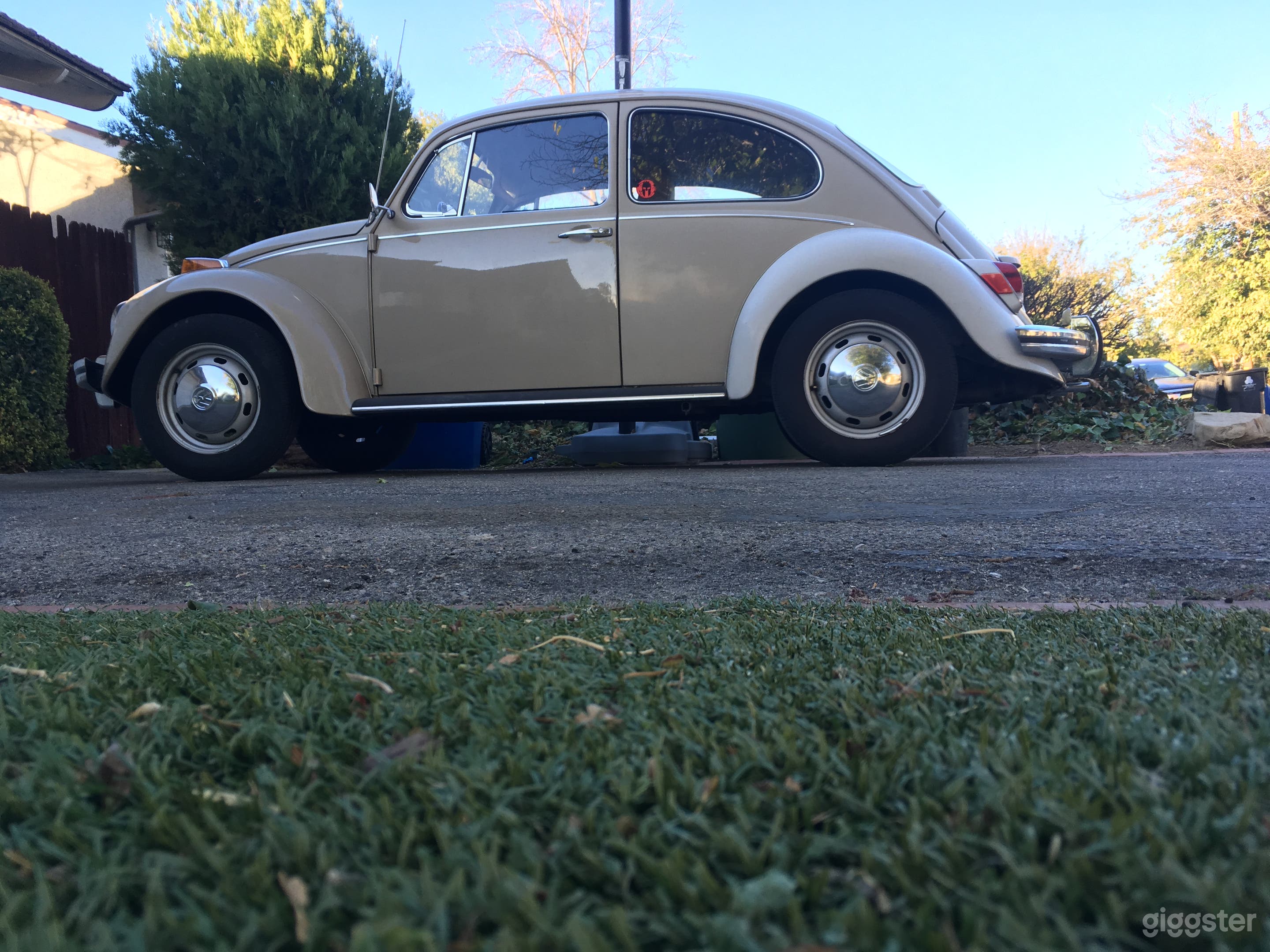 1970 Vw bug Photo 4