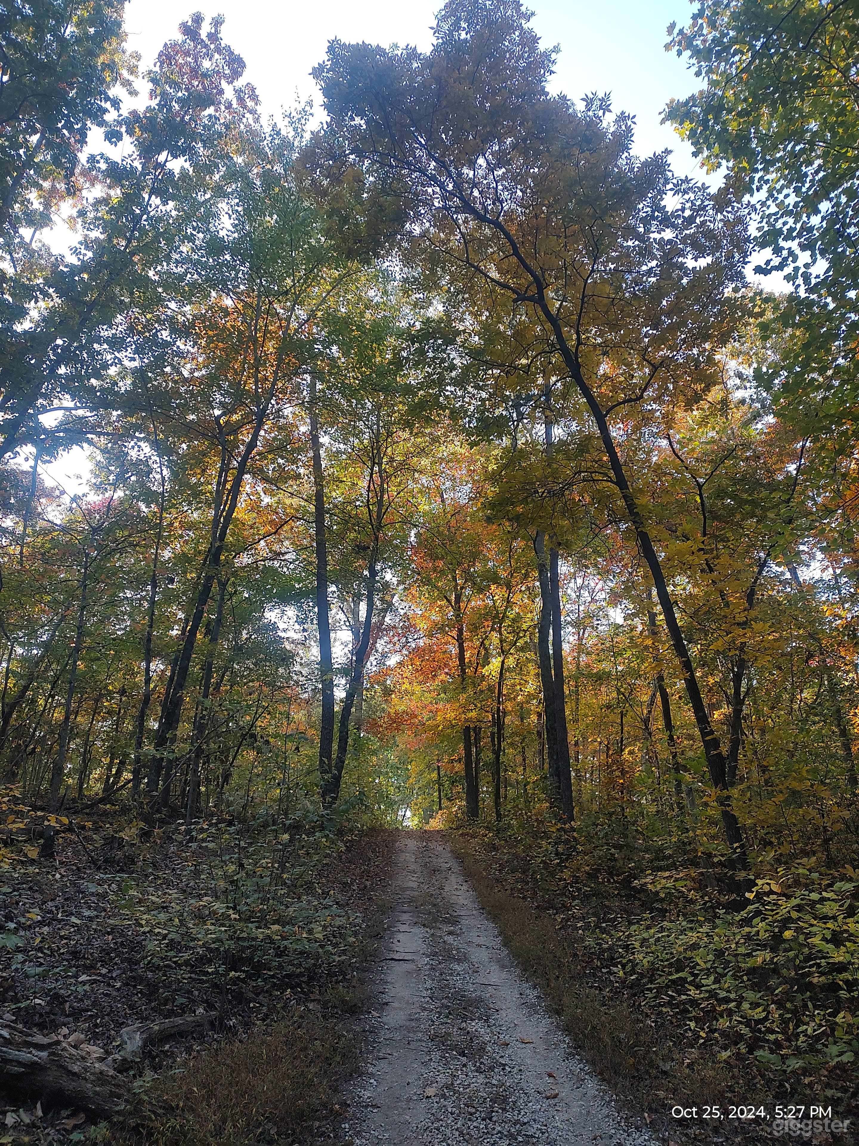 93 acre horse farm Photo 4