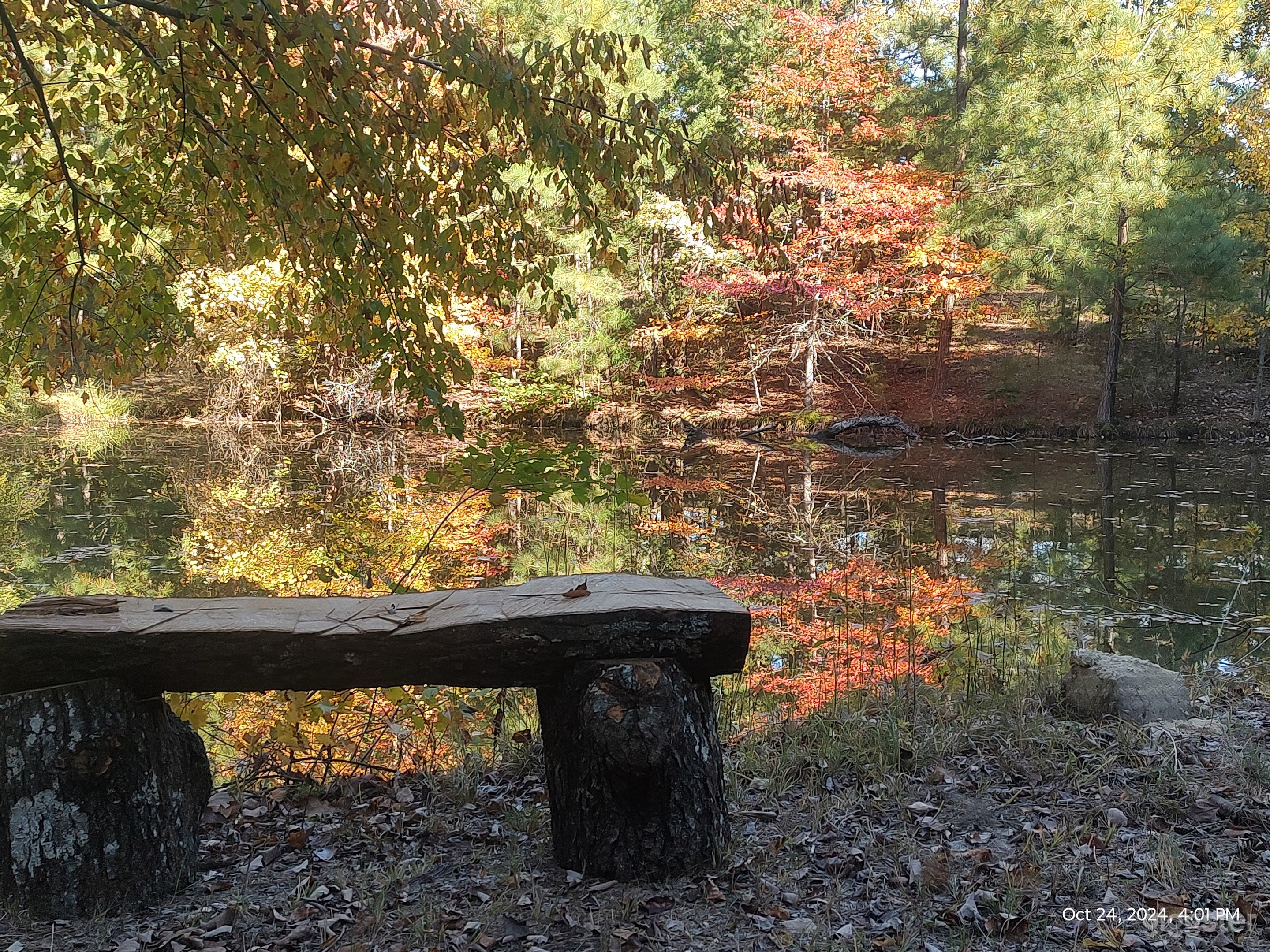 93 acre horse farm Photo 3