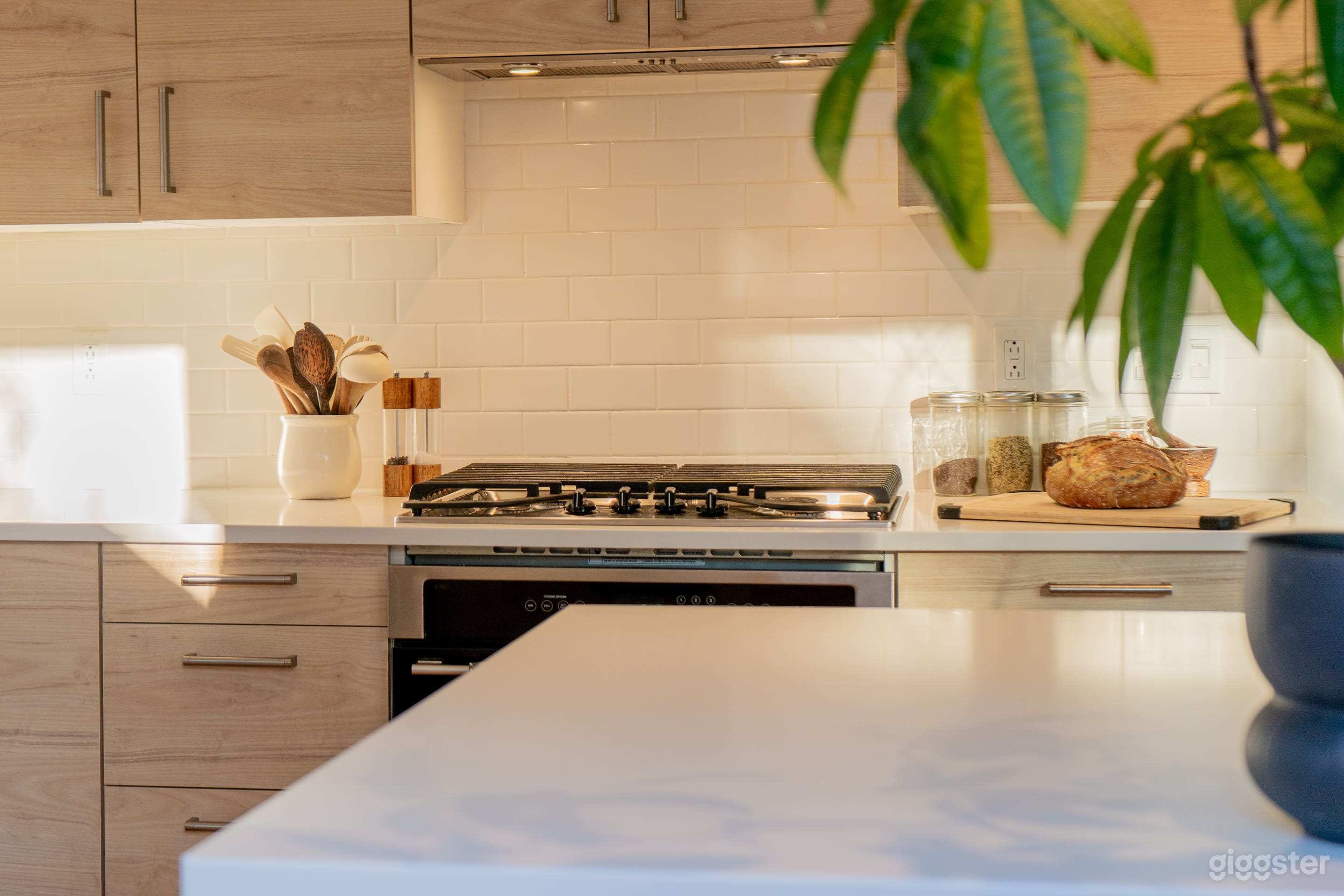 Earthy Modern Kitchen with Natural Light Photo 4