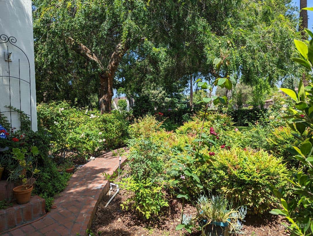 3,000 SF ENGLISH COTTAGE CHARMER + 400 SF COTTAGE Photo 3