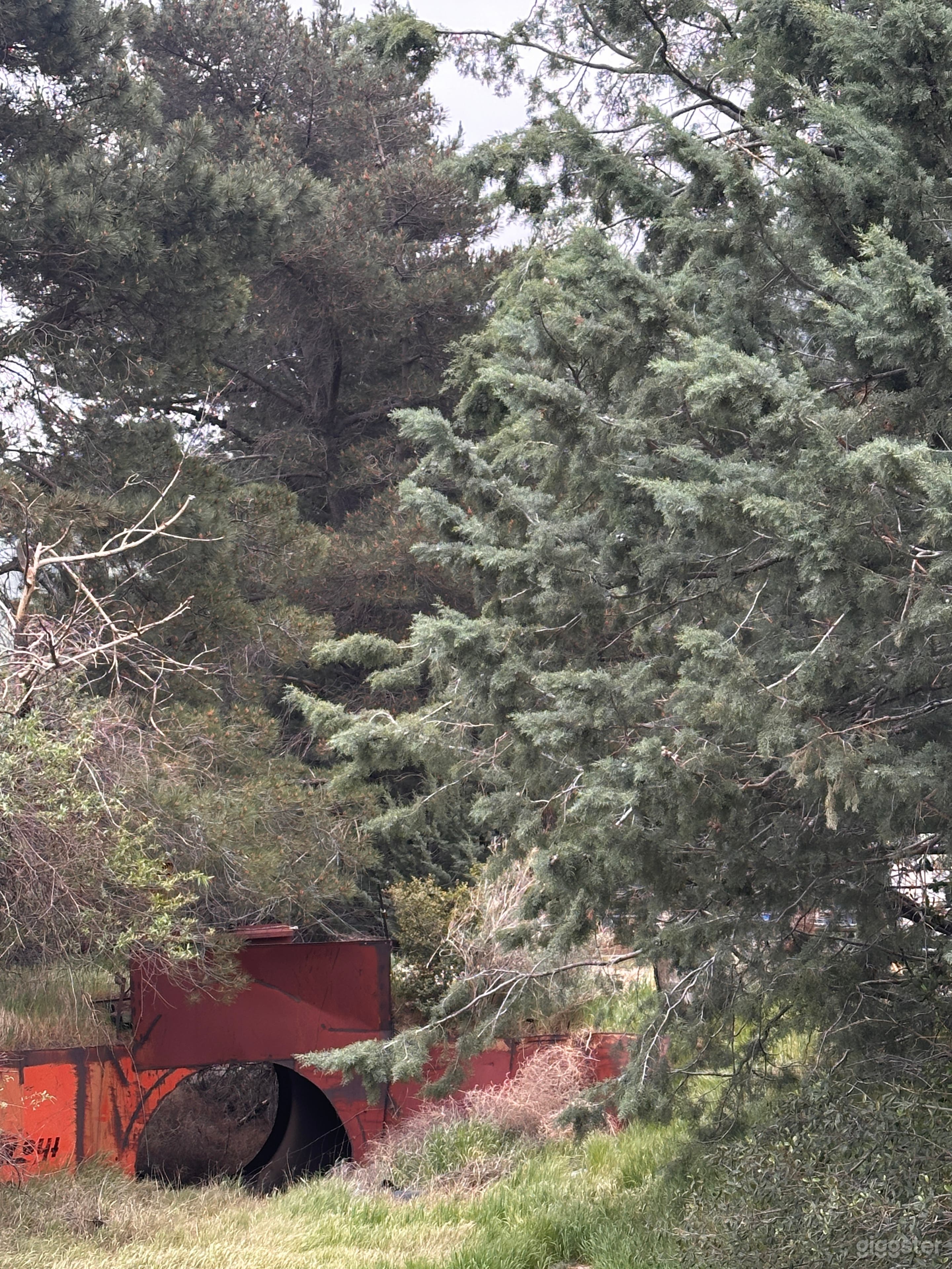 Riverbed Storm Drain – Forest Culvert Film Location Photo 3
