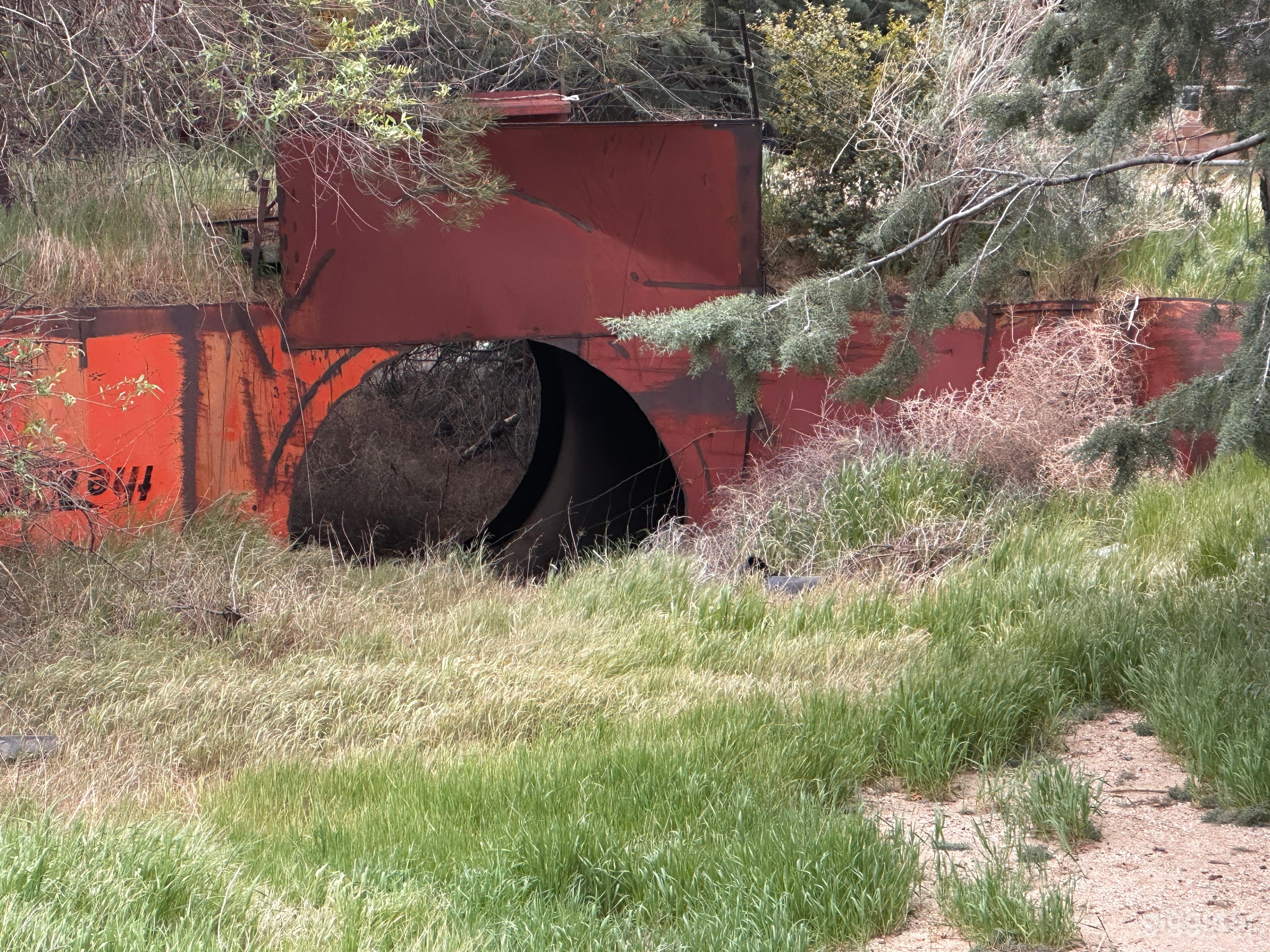 Riverbed Storm Drain – Forest Culvert Film Location Photo 1
