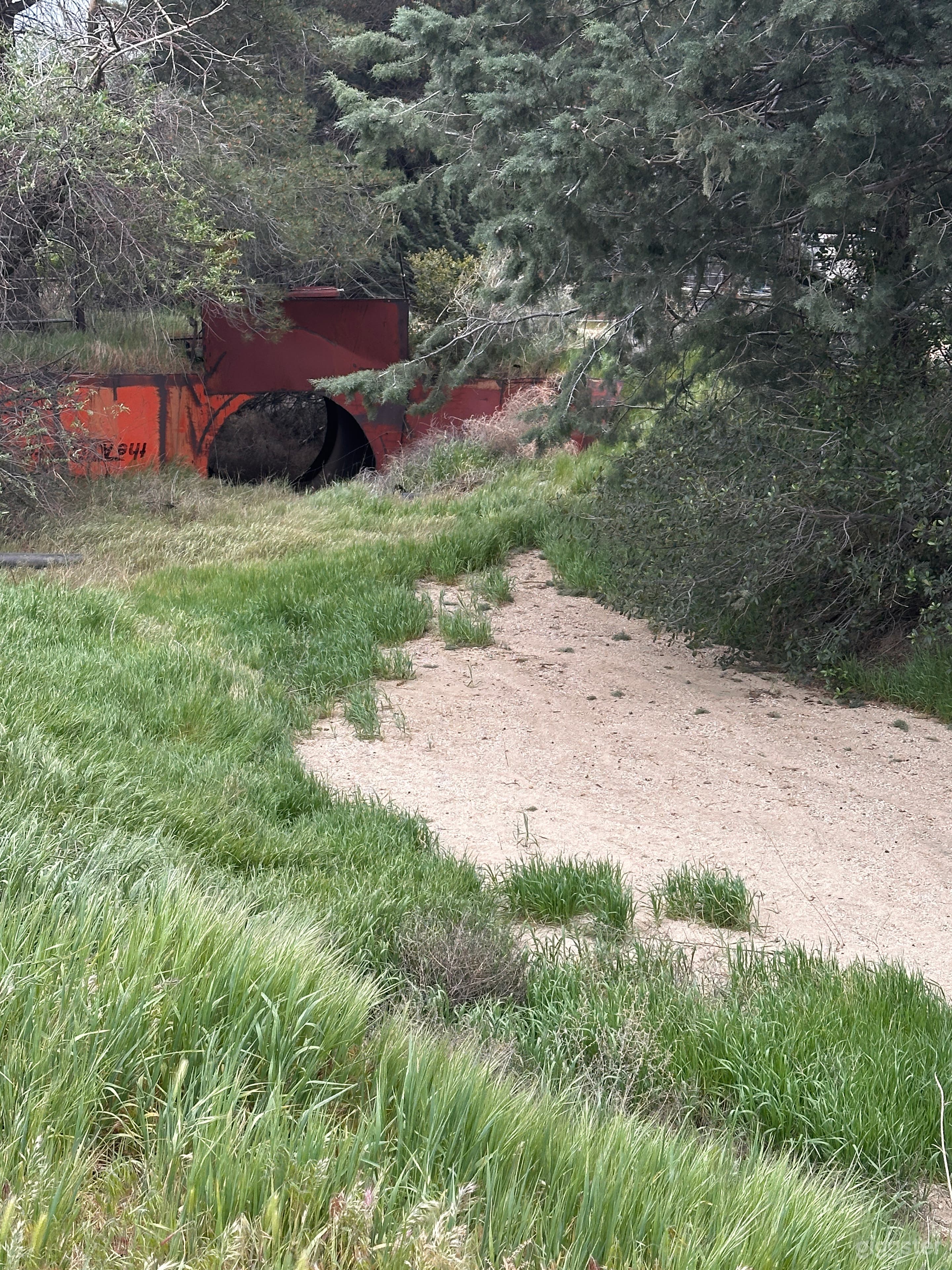 Riverbed Storm Drain – Forest Culvert Film Location Photo 2