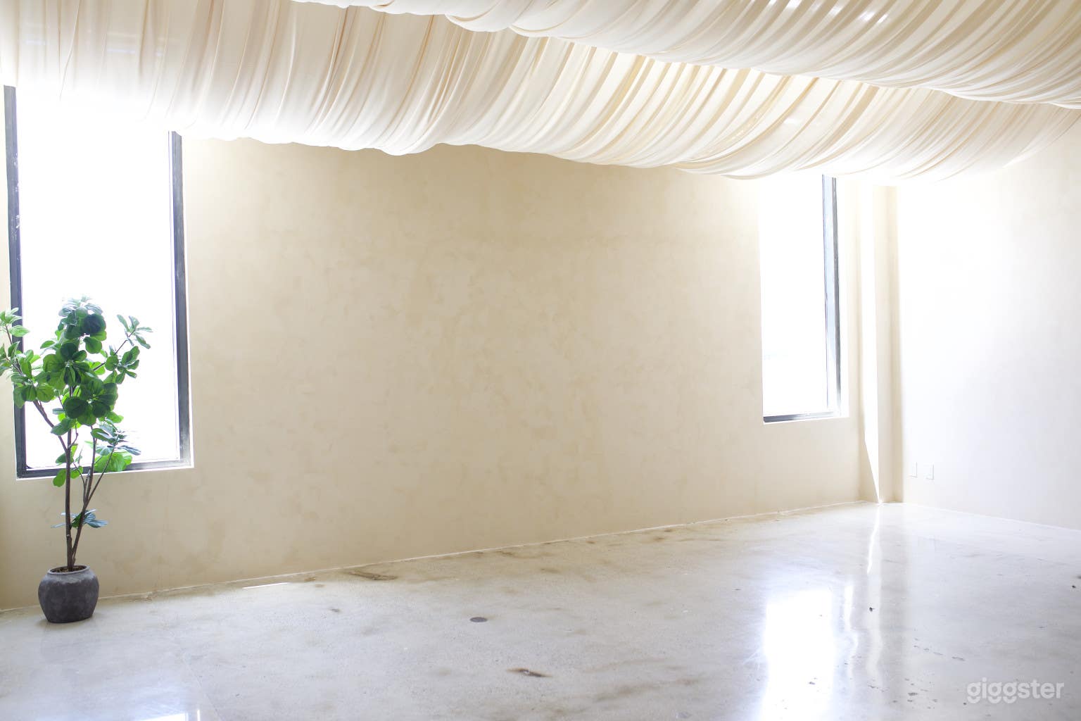 Oasis a blank canvas for your creative vision Photo 3