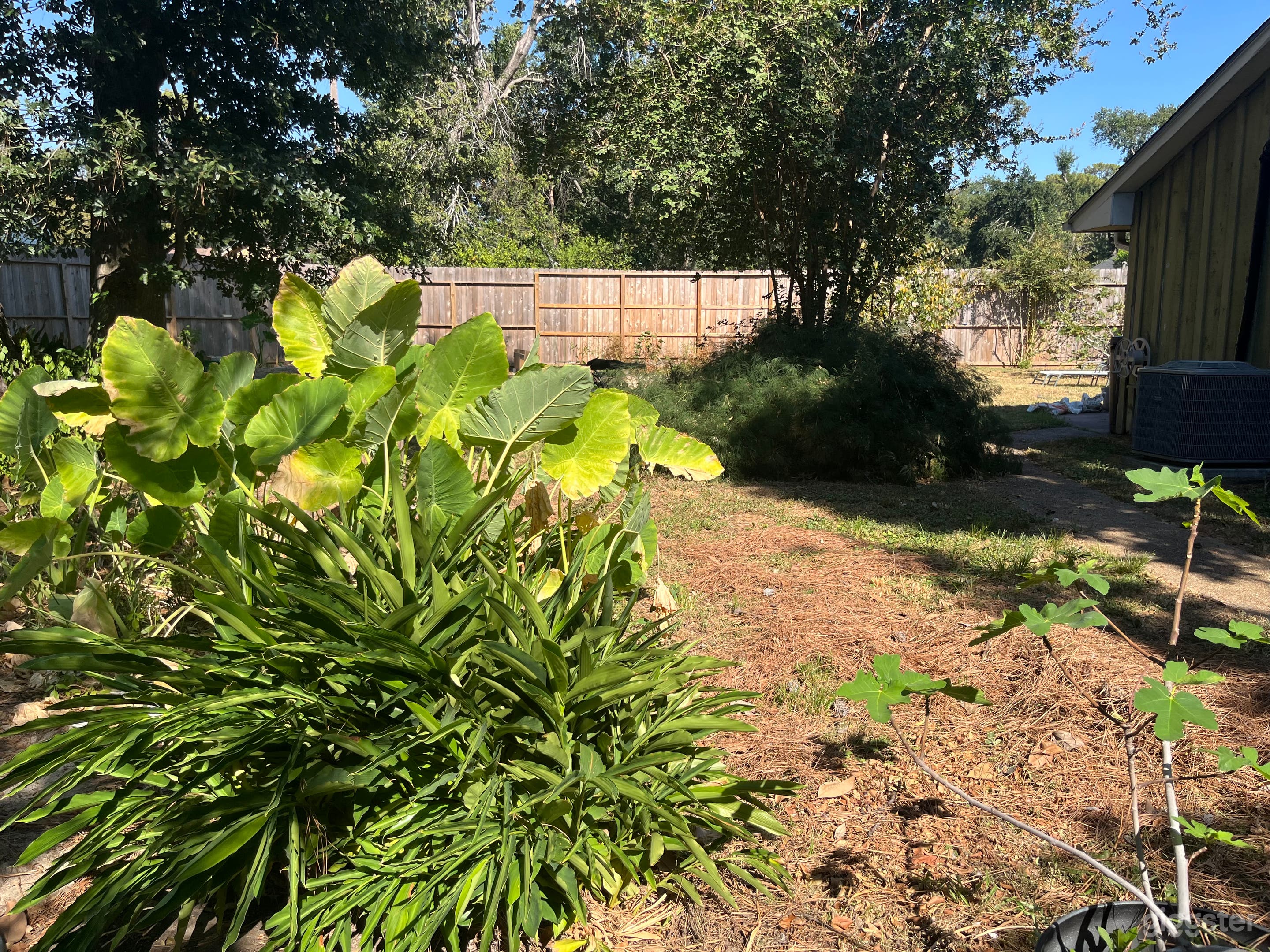 Green & Trees Large Lot & Ranch-style classic interior Photo 2