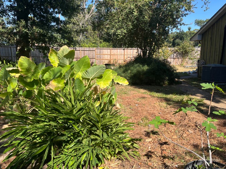  Green & Trees Large Lot & Ranch-style classic interior 