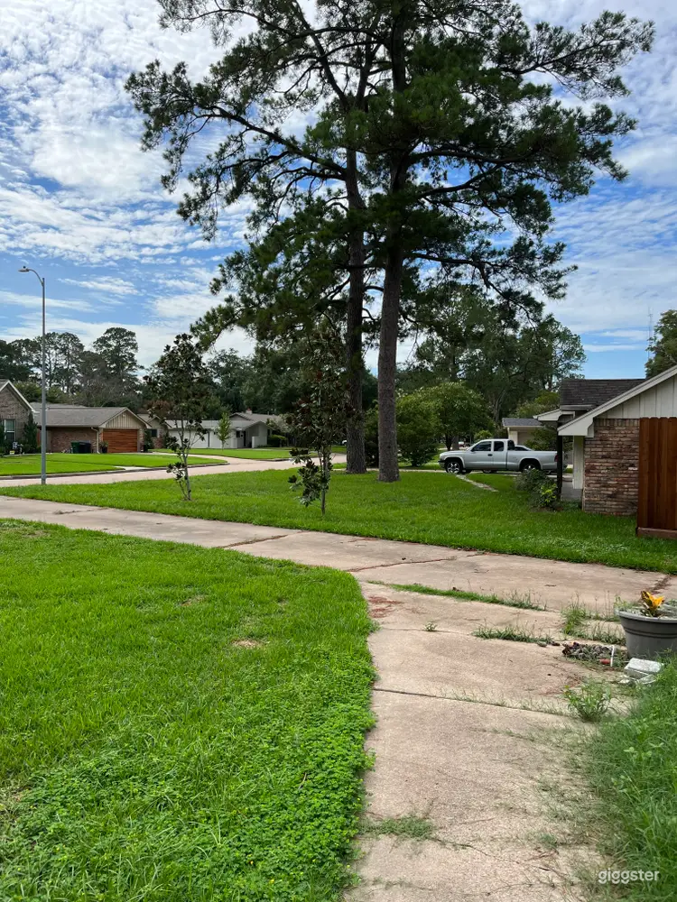  Green & Trees Large Lot & Ranch-style classic interior 