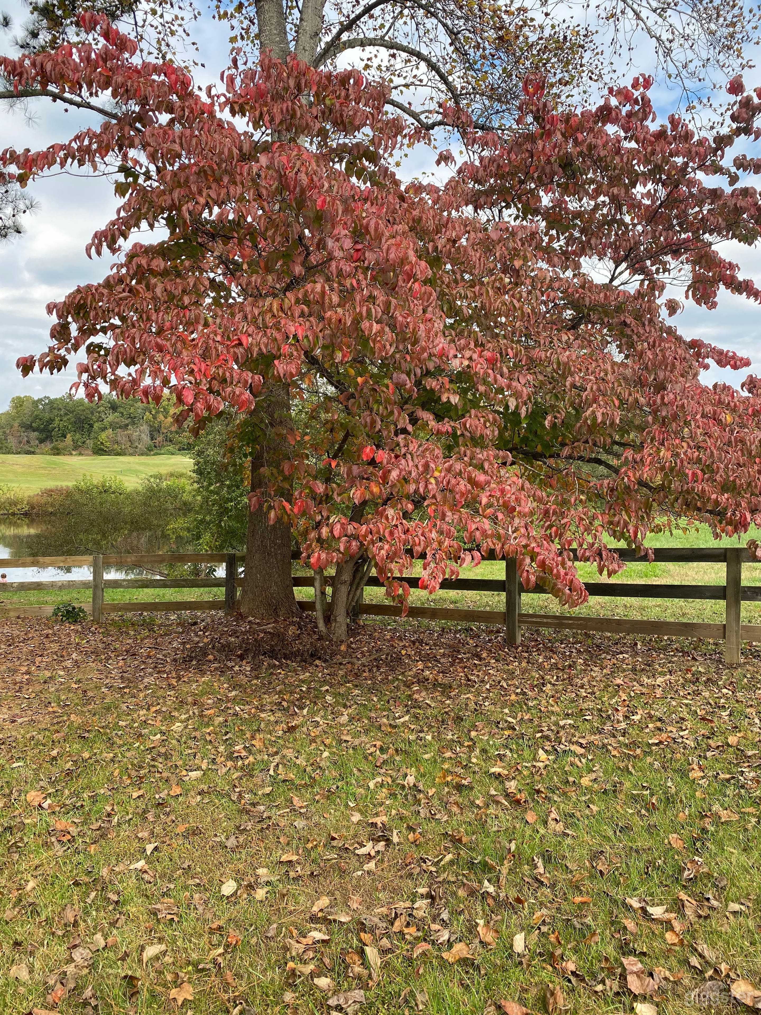 Rockville VA Landscapes - Minutes from Short Pump Photo 3
