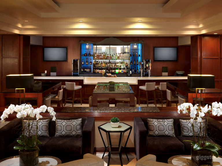  Luxury Lobby Lounge for Social Events 