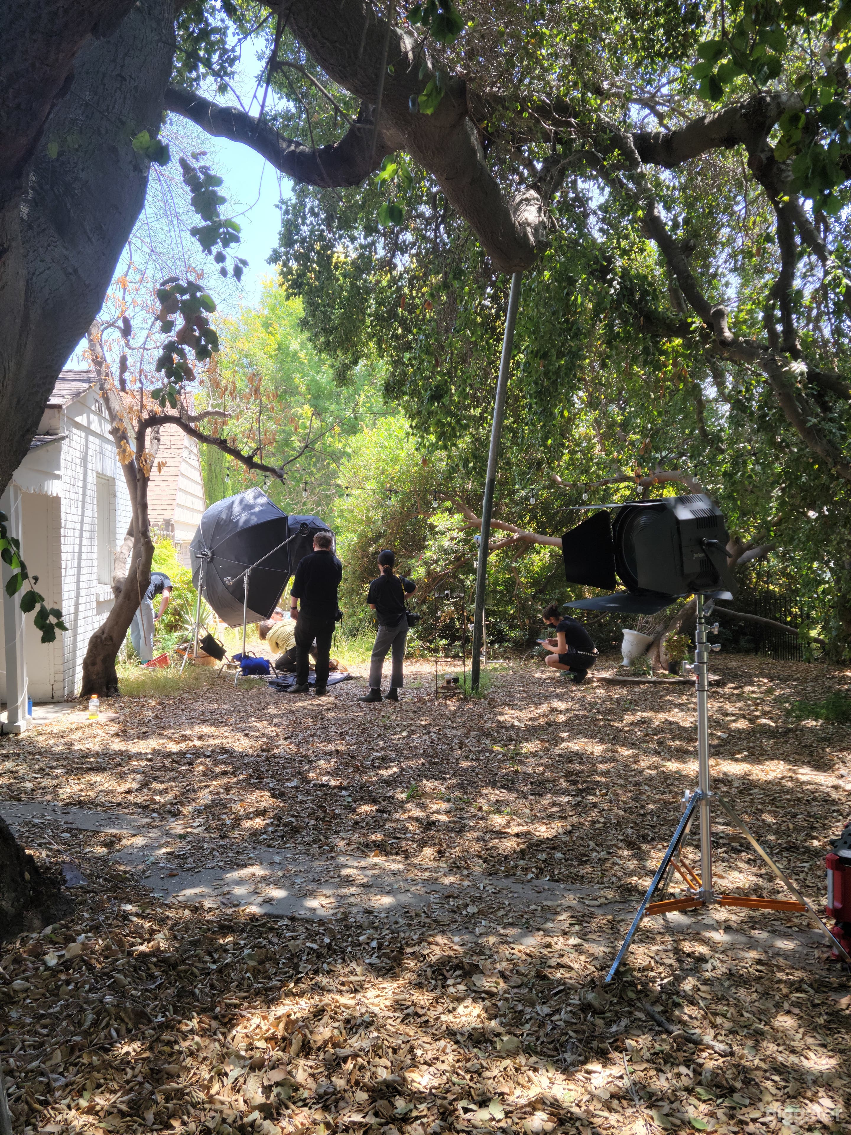 Photos in front of the study windows 