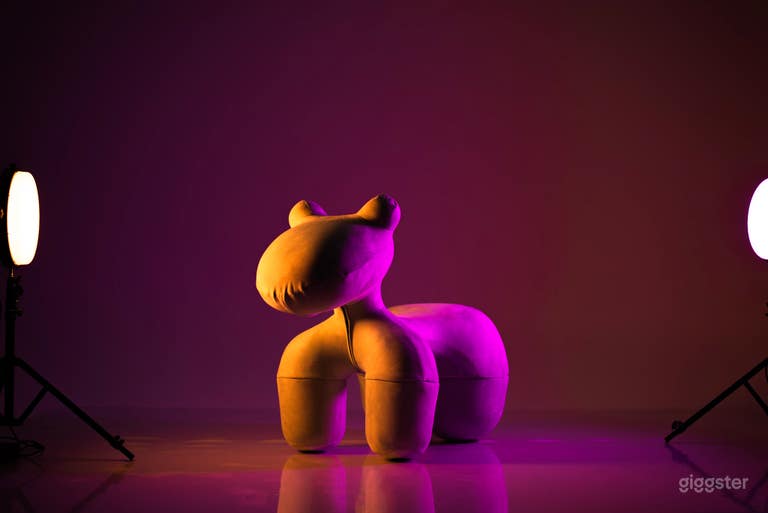  Premium Photography Studio in Las Vegas 