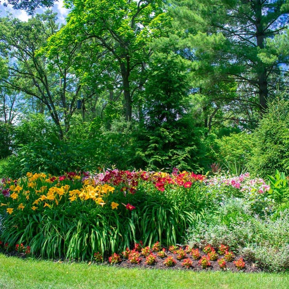 Herbaceous Border Gardens Photo 4