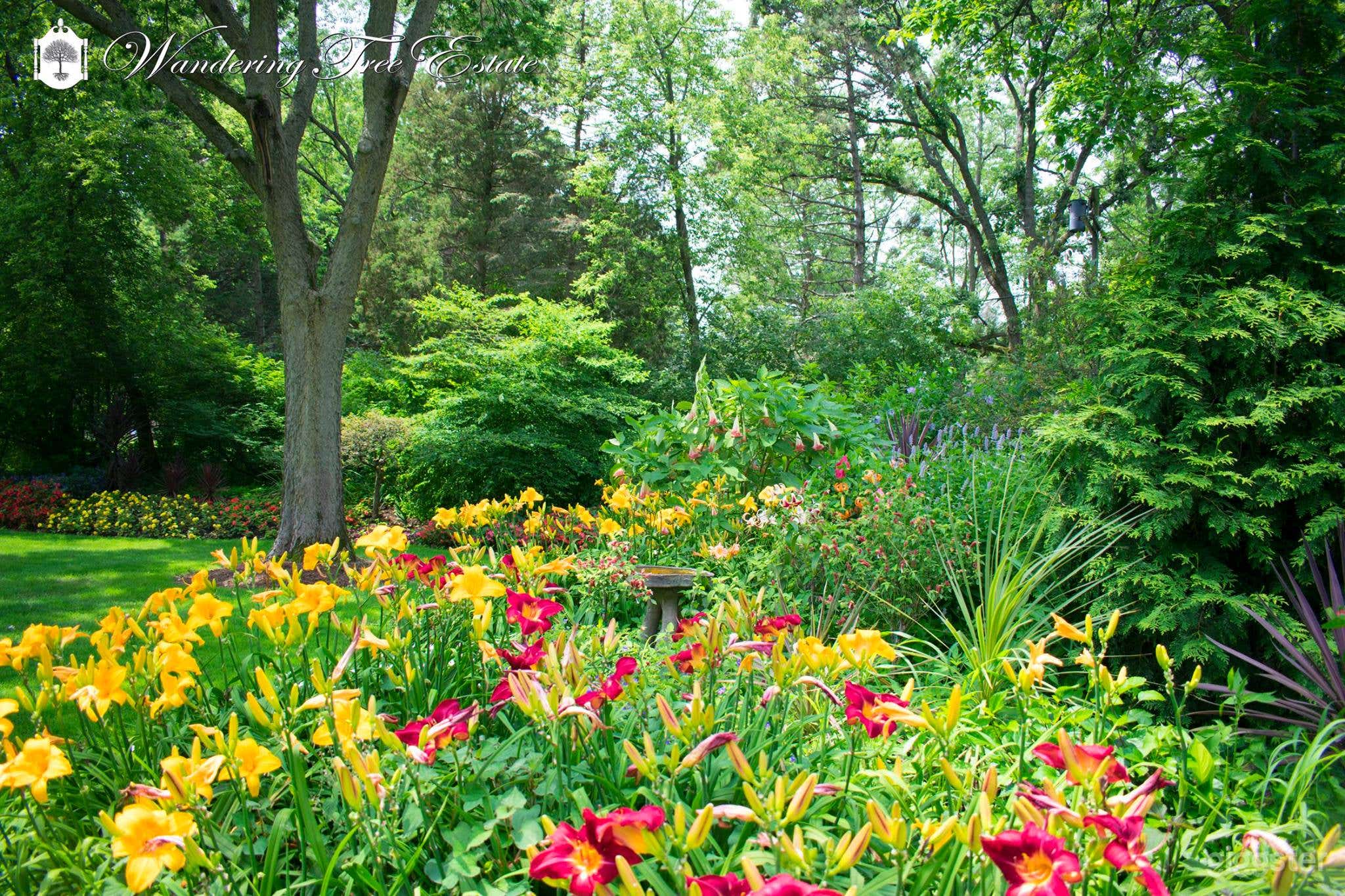 Herbaceous Border Gardens Photo 3