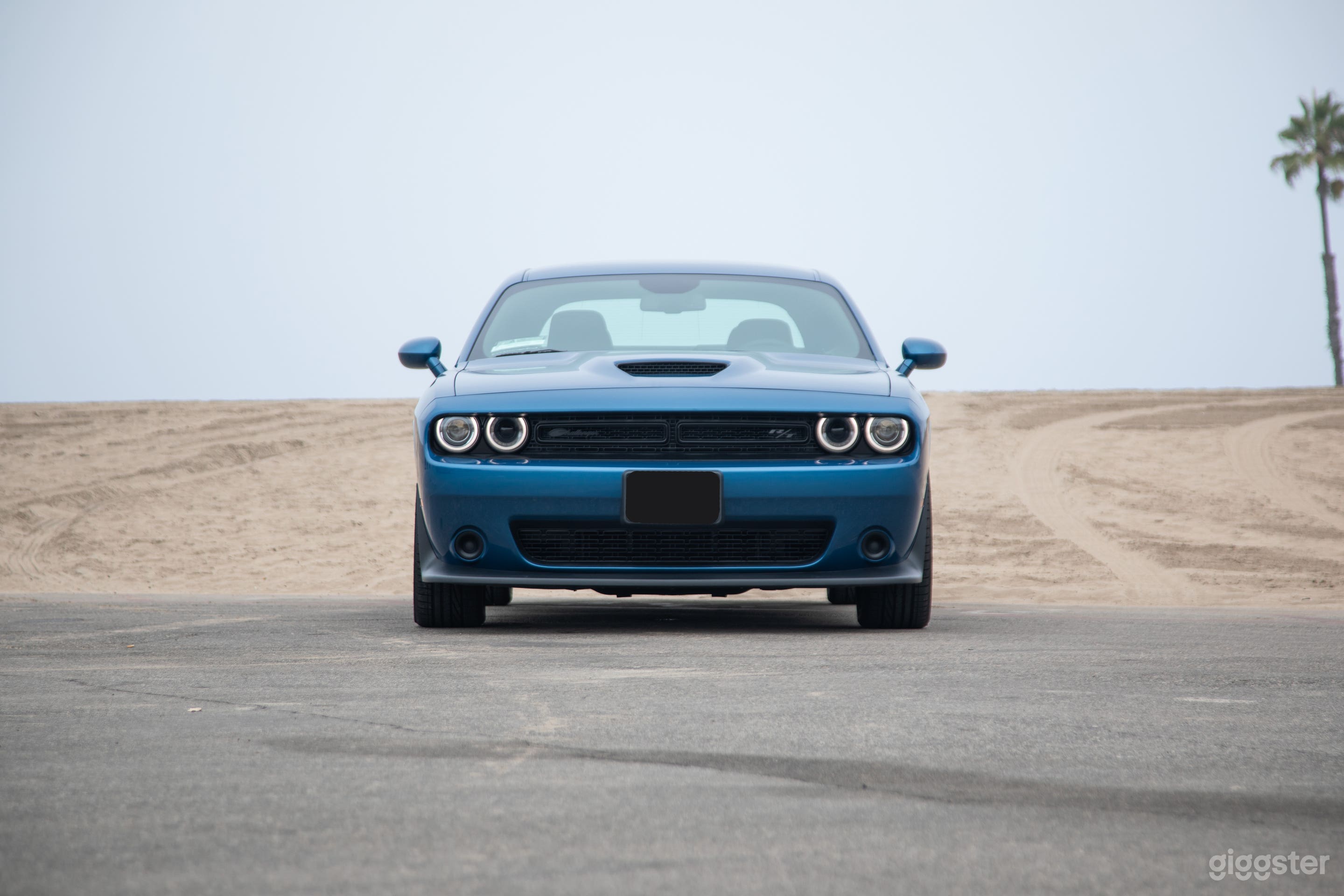 Modern Muscle: V8 Dodge Challenger BLUE or BLACK! Photo 3