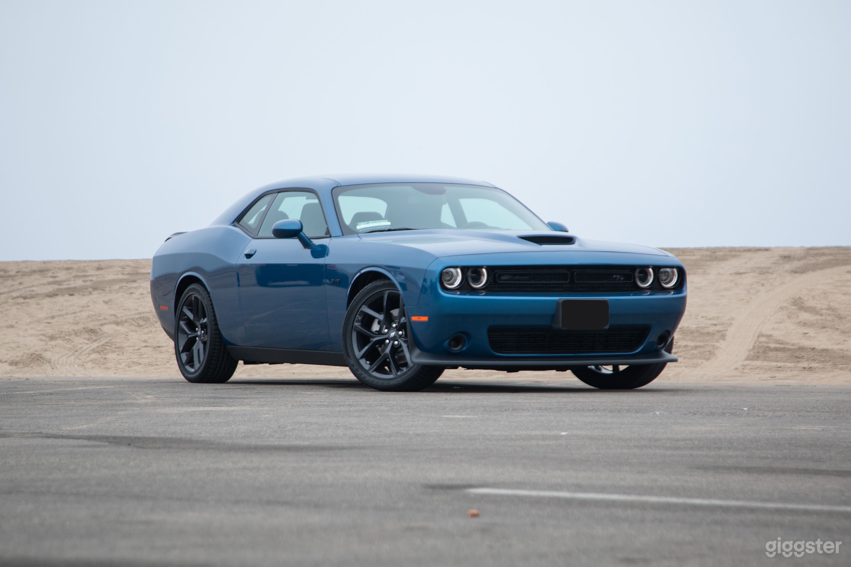 Modern Muscle: V8 Dodge Challenger BLUE or BLACK! Photo 1