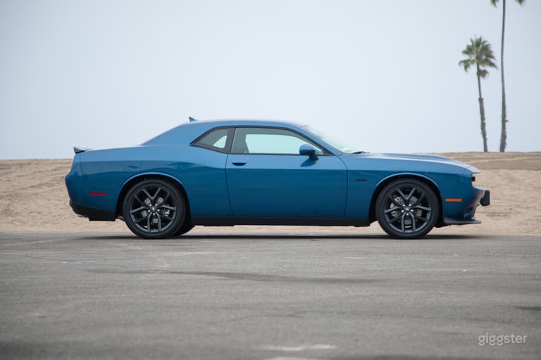  Modern Muscle: V8 Dodge Challenger BLUE or BLACK! 