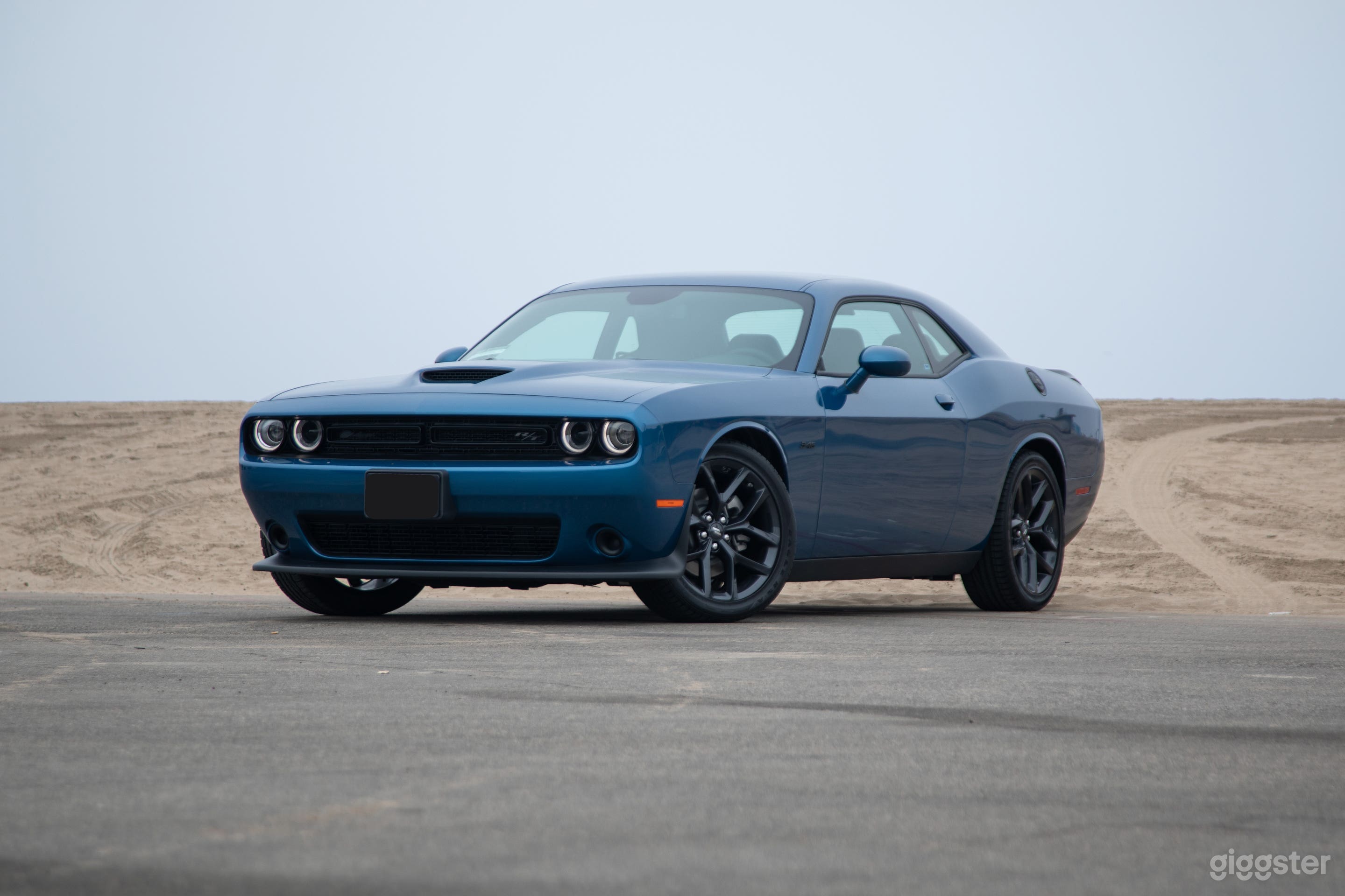 Modern Muscle: V8 Dodge Challenger BLUE or BLACK! Photo 2