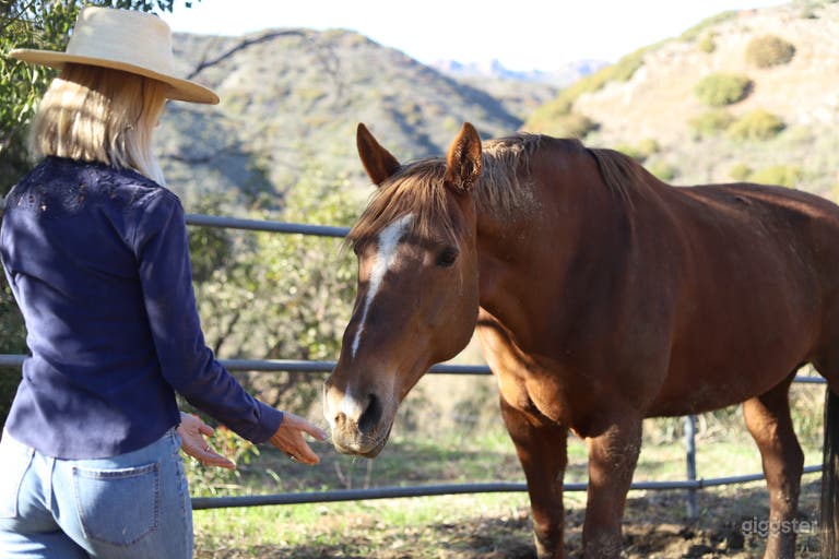  Rancho de Caballos en Malibu con Vistas Épicas 
