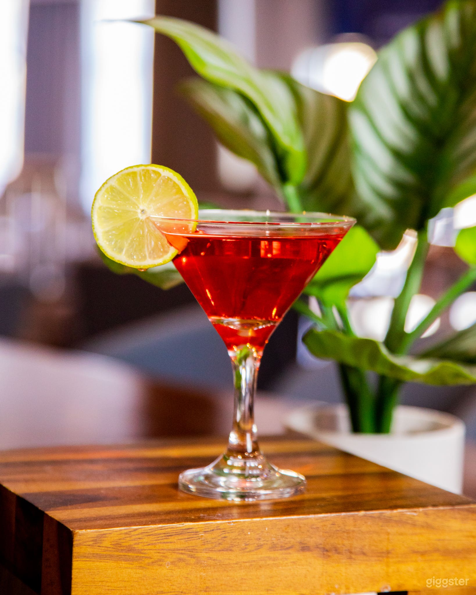 DoubleTree Cocktails 