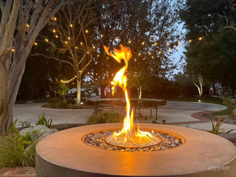  Unique 1 acre property with large front and back yards 