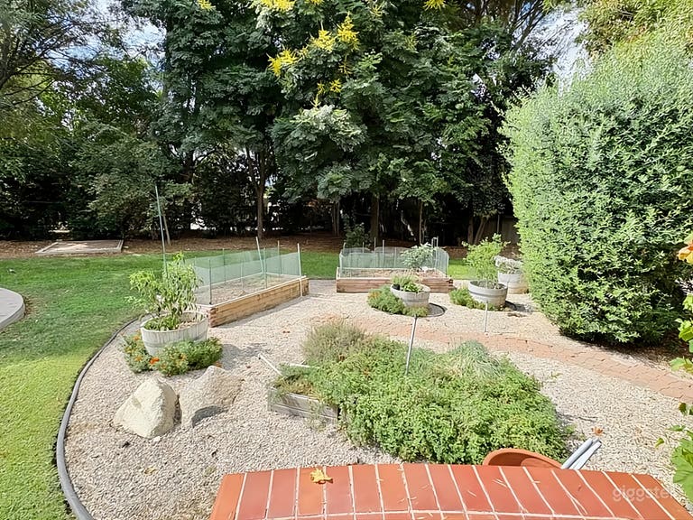  Garden Estate Backyard 