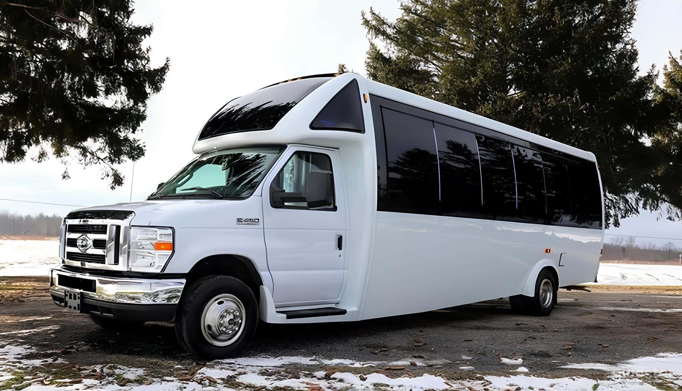 Luxury Party Bus for 24 People (w/out Bathroom) Photo 1