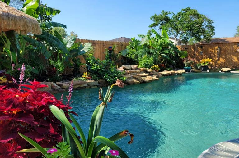  Piscine extérieure aux ambiances tropicales - Pasadena 