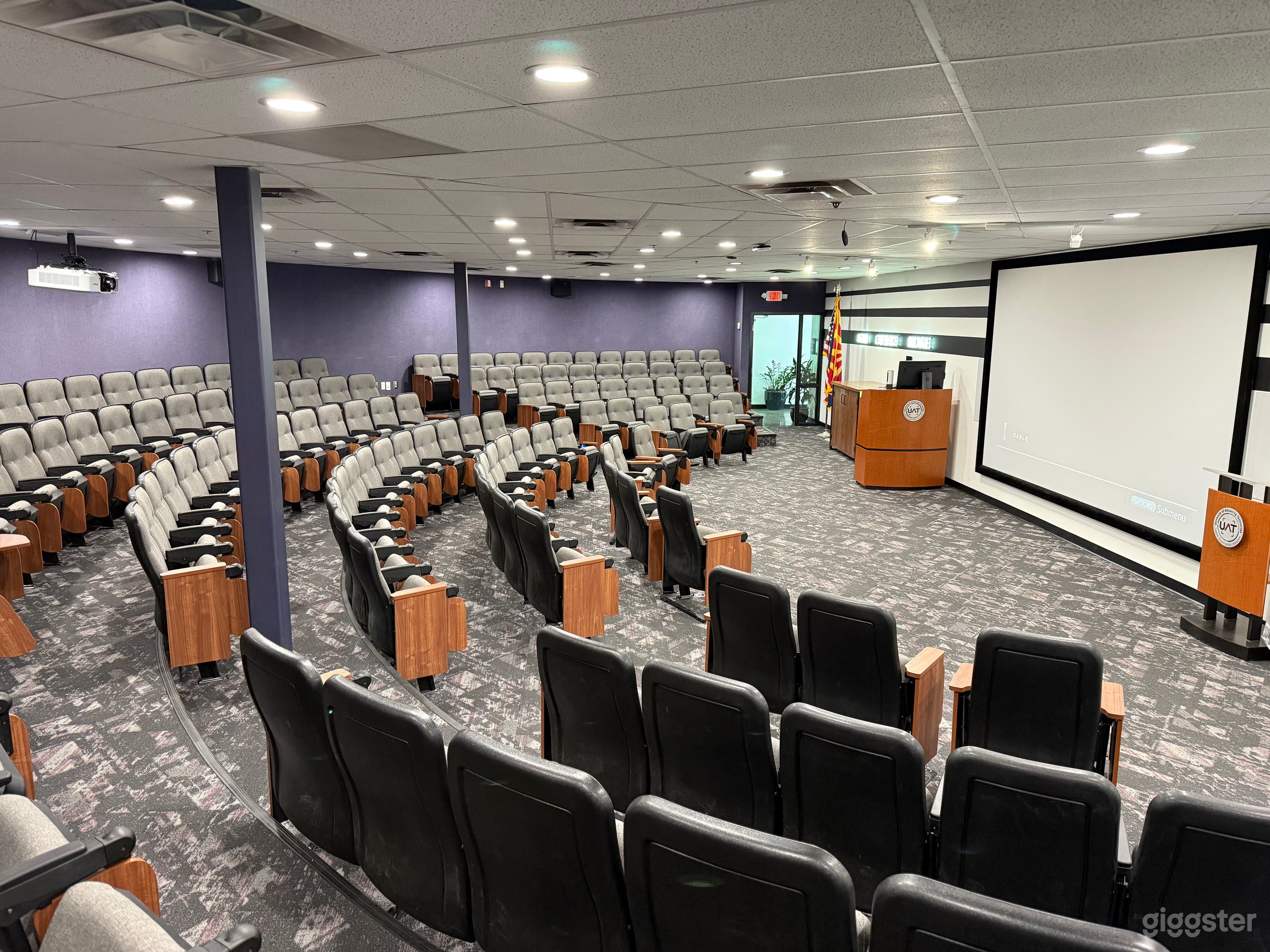 Spacious and Gorgeous Theatre Photo 1