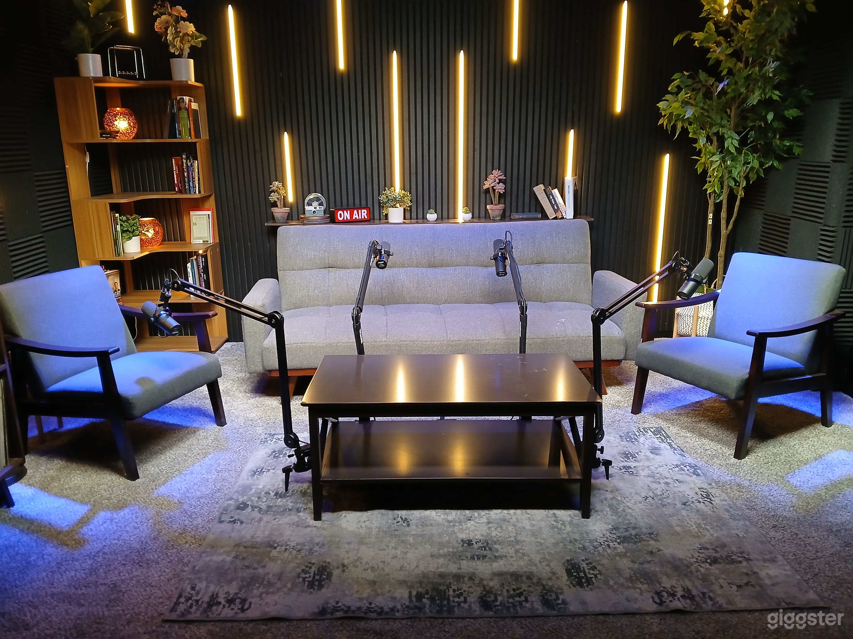 Podcast & Video Production Studio — Soundproofed & Modular Photo 4