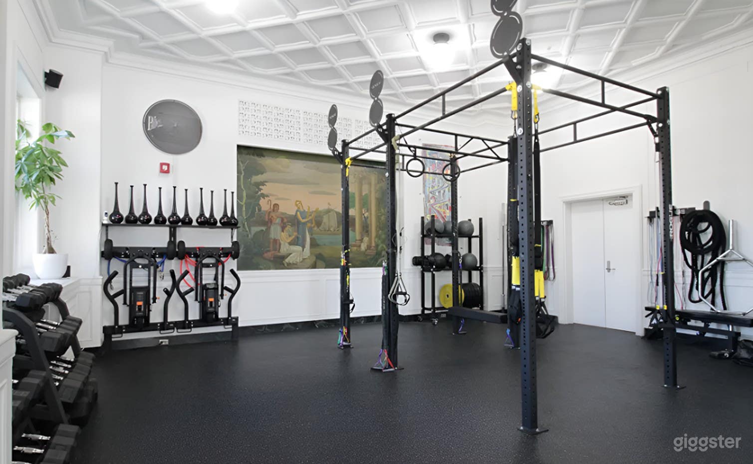 1250 Sq. ft. Fully-Equipped Gym  Photo 3