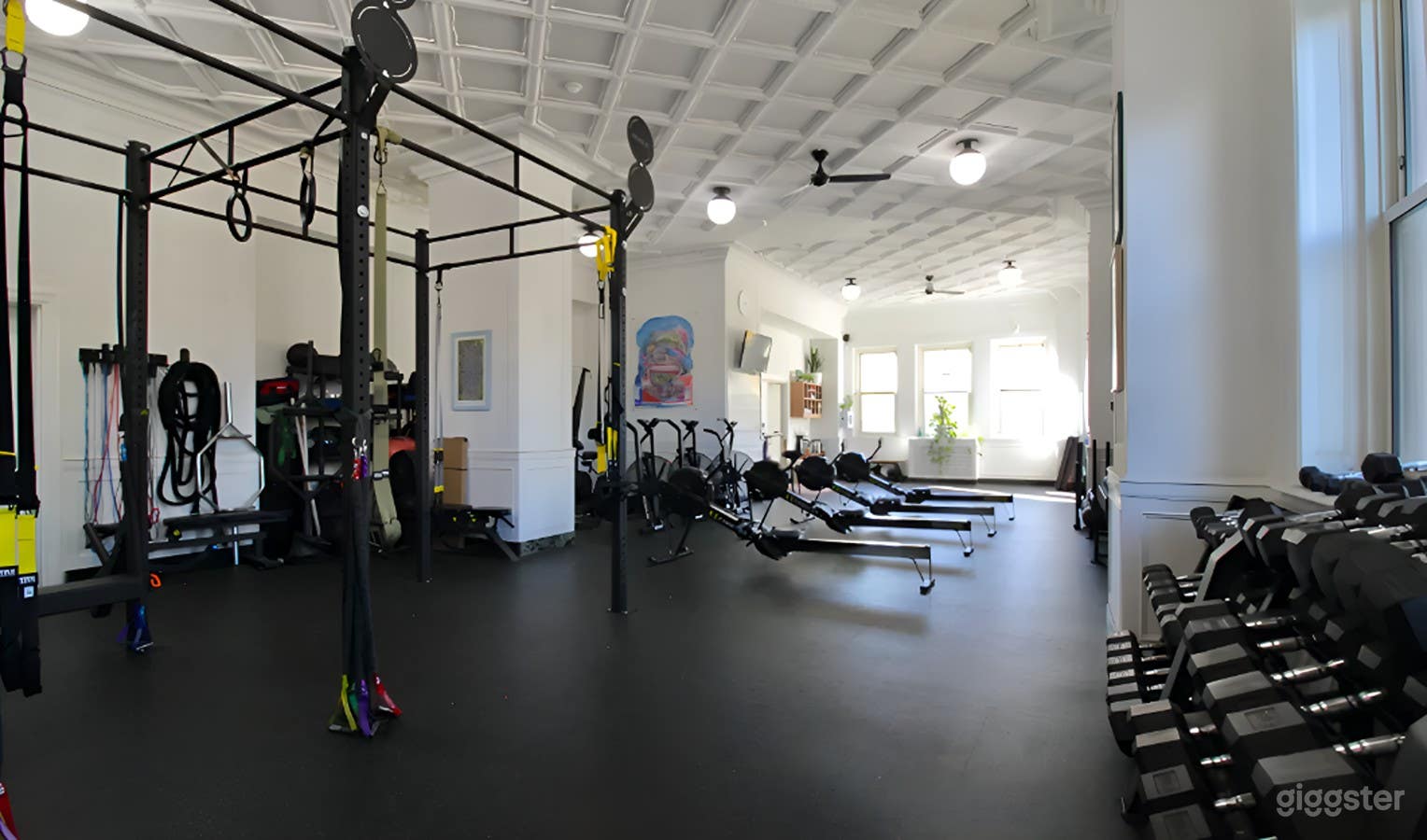 1250 Sq. ft. Fully-Equipped Gym  Photo 4