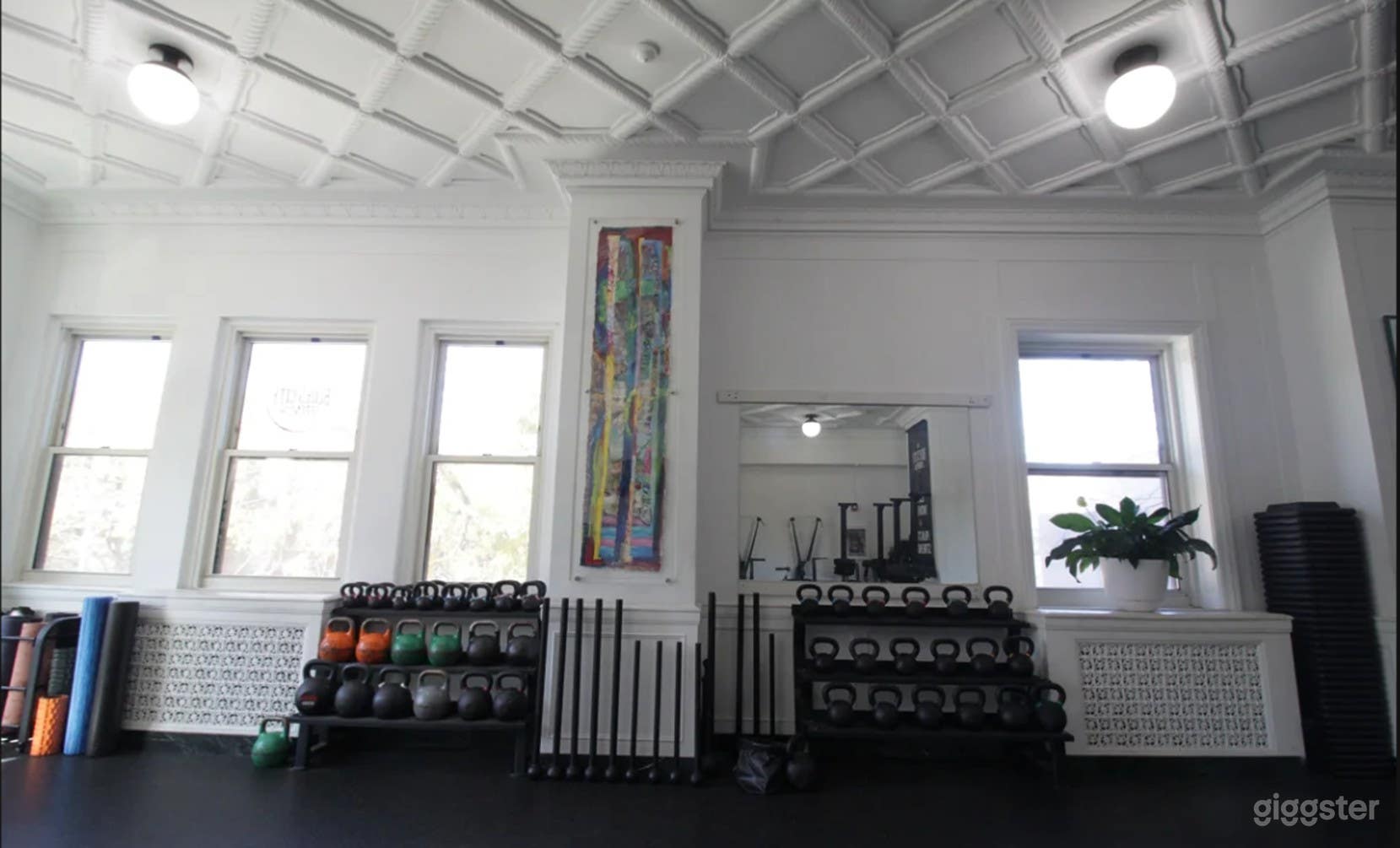 1250 Sq. ft. Fully-Equipped Gym  Photo 1