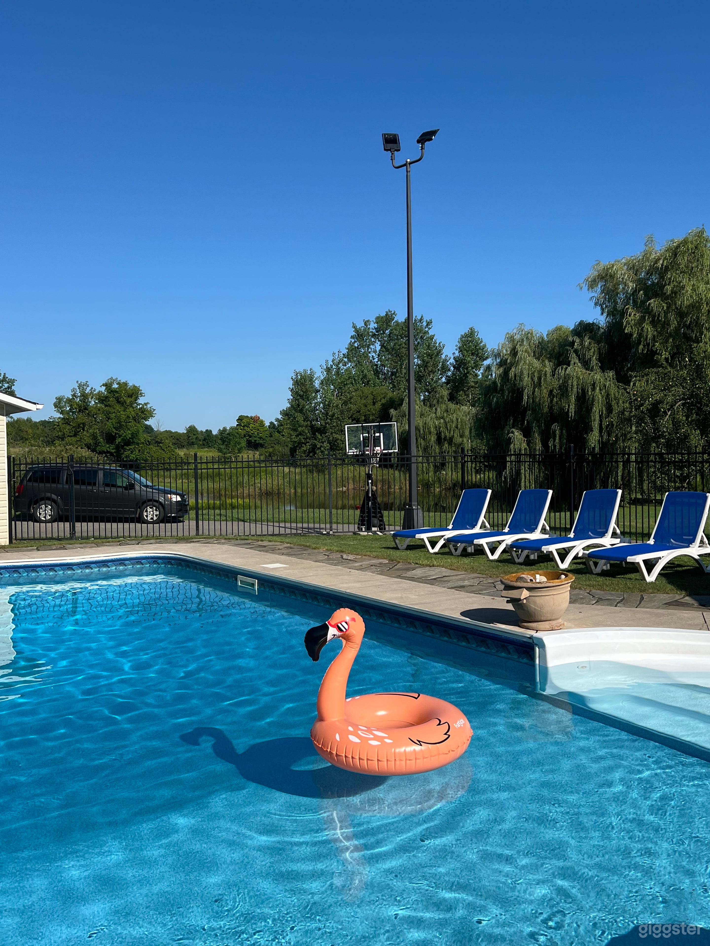 Private Pool Paradise in the City Photo 2