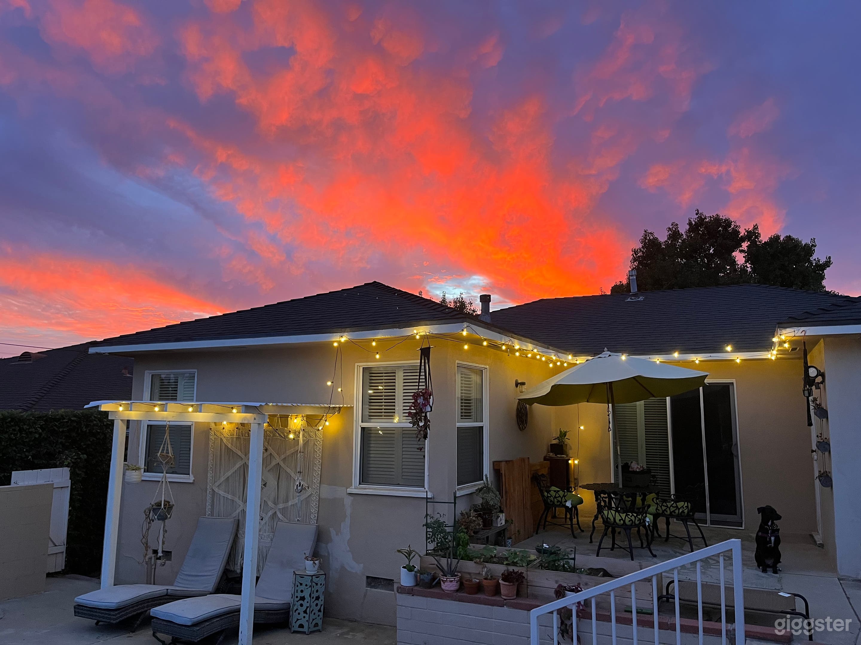 1950s Middle Class Oasis Photo 1