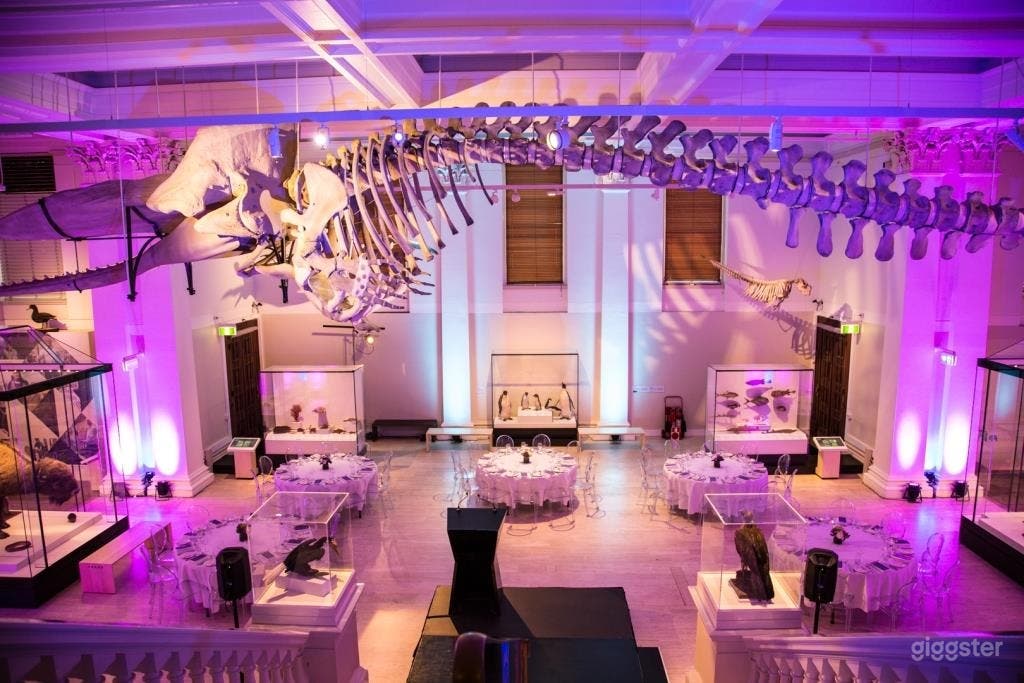 Australian Museum Photo 3