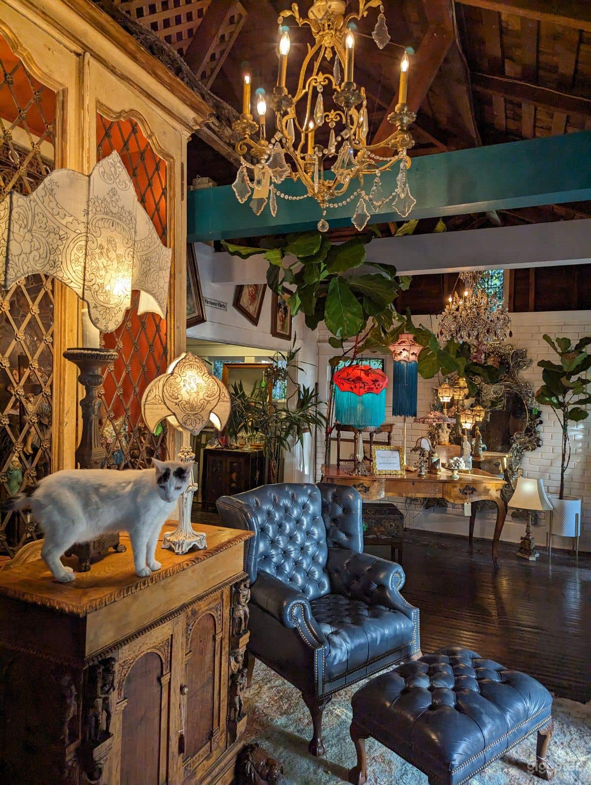 Hollywood Whimsical Private Garden Photo 4