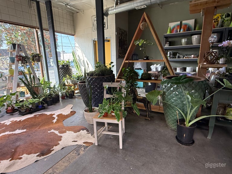  Venue black box theatre and/or plants coffee shop 