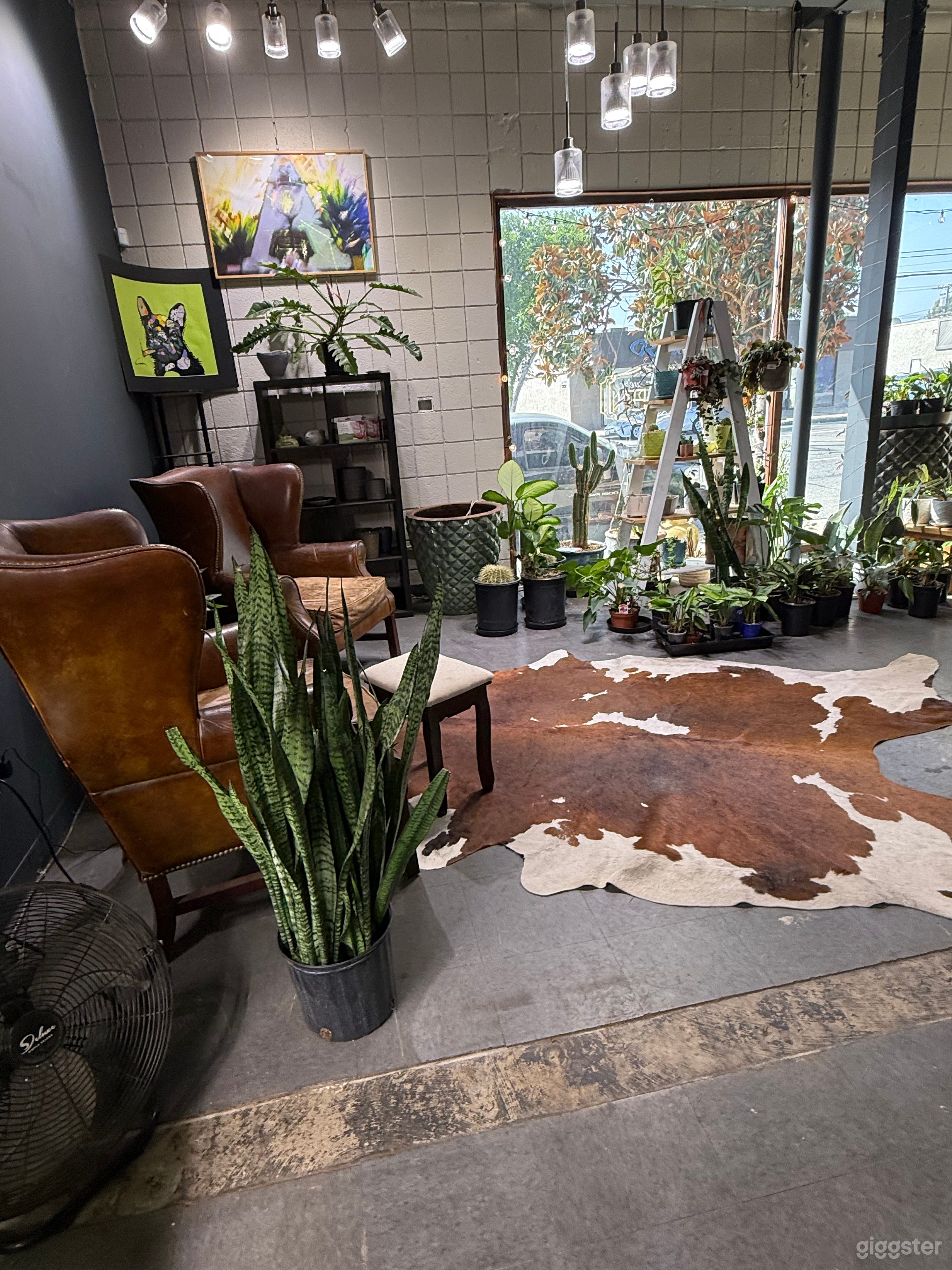 Venue black box theatre and/or plants coffee shop Photo 4