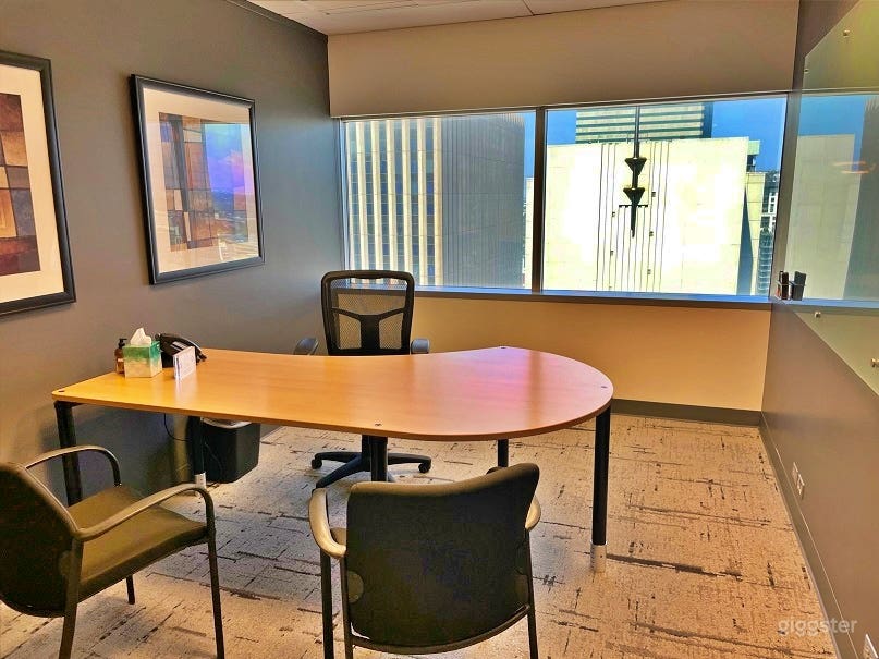 Sophisticated Day office in Denver Photo 1