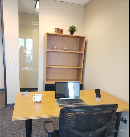  Sophisticated Day office in Denver 