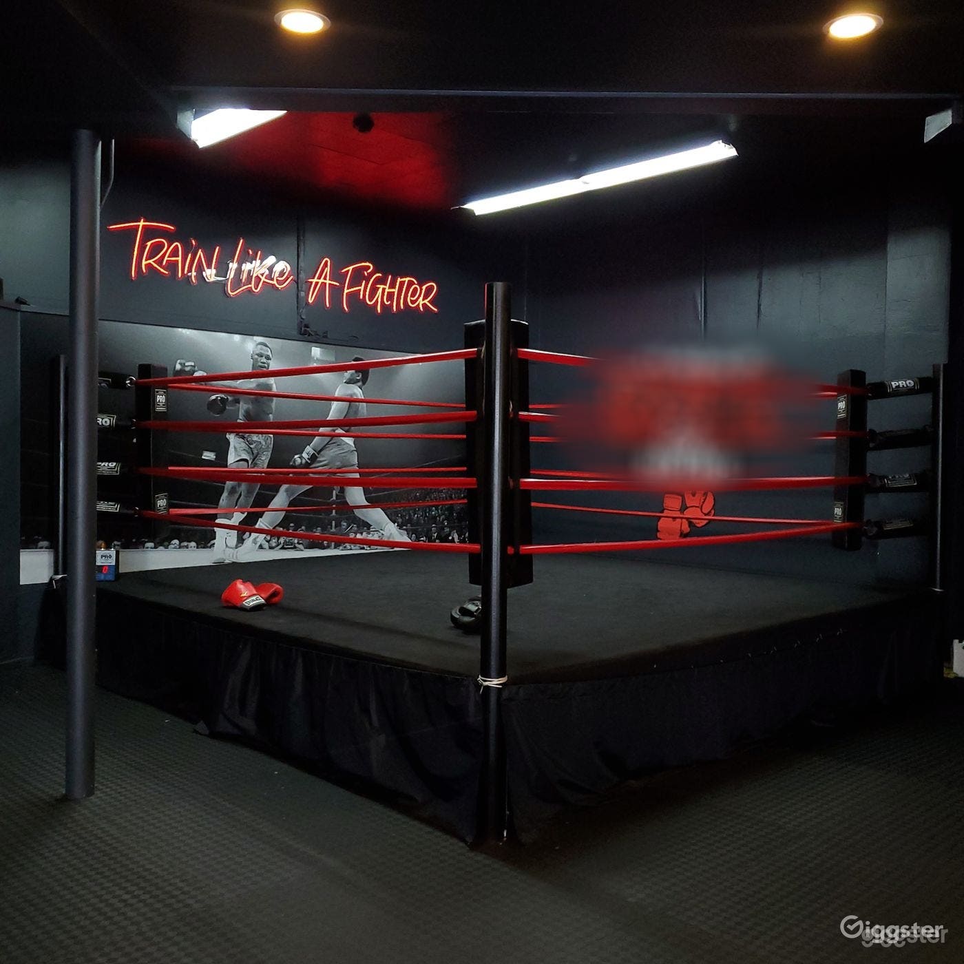 Boxing ring