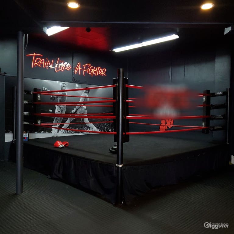  Ring de boxeo 