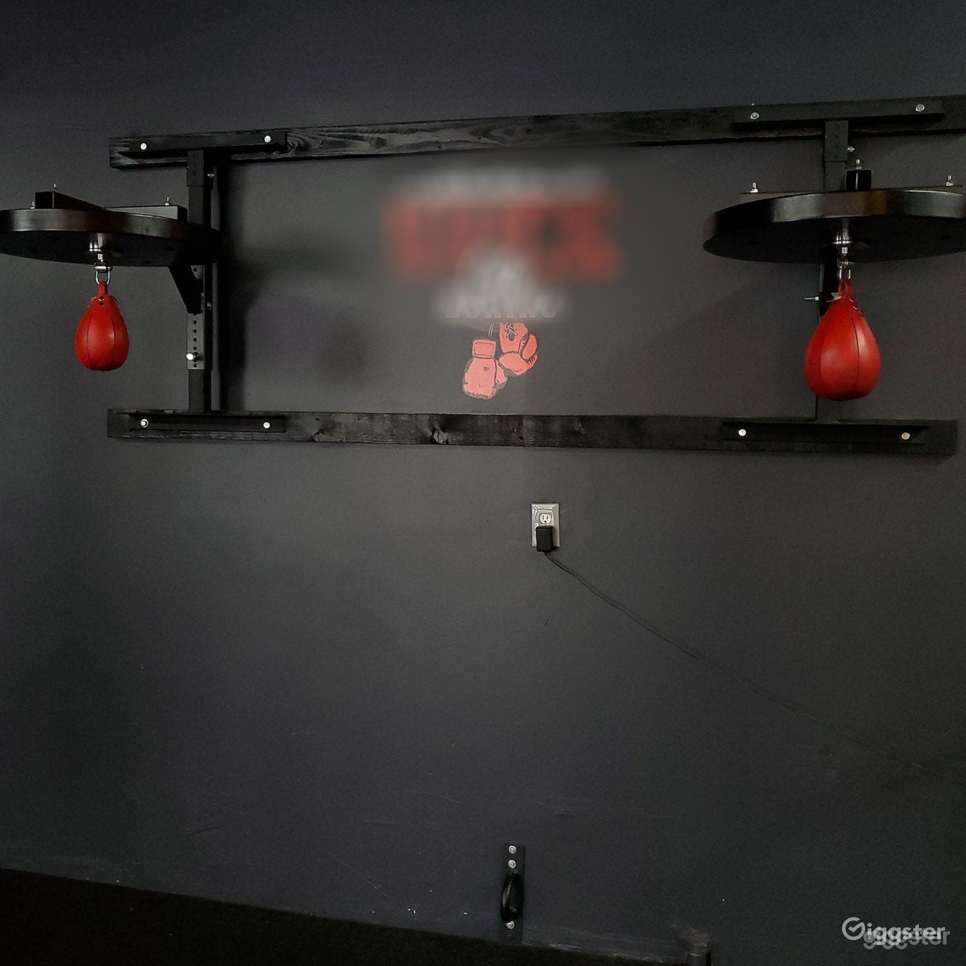 Professional speed bags