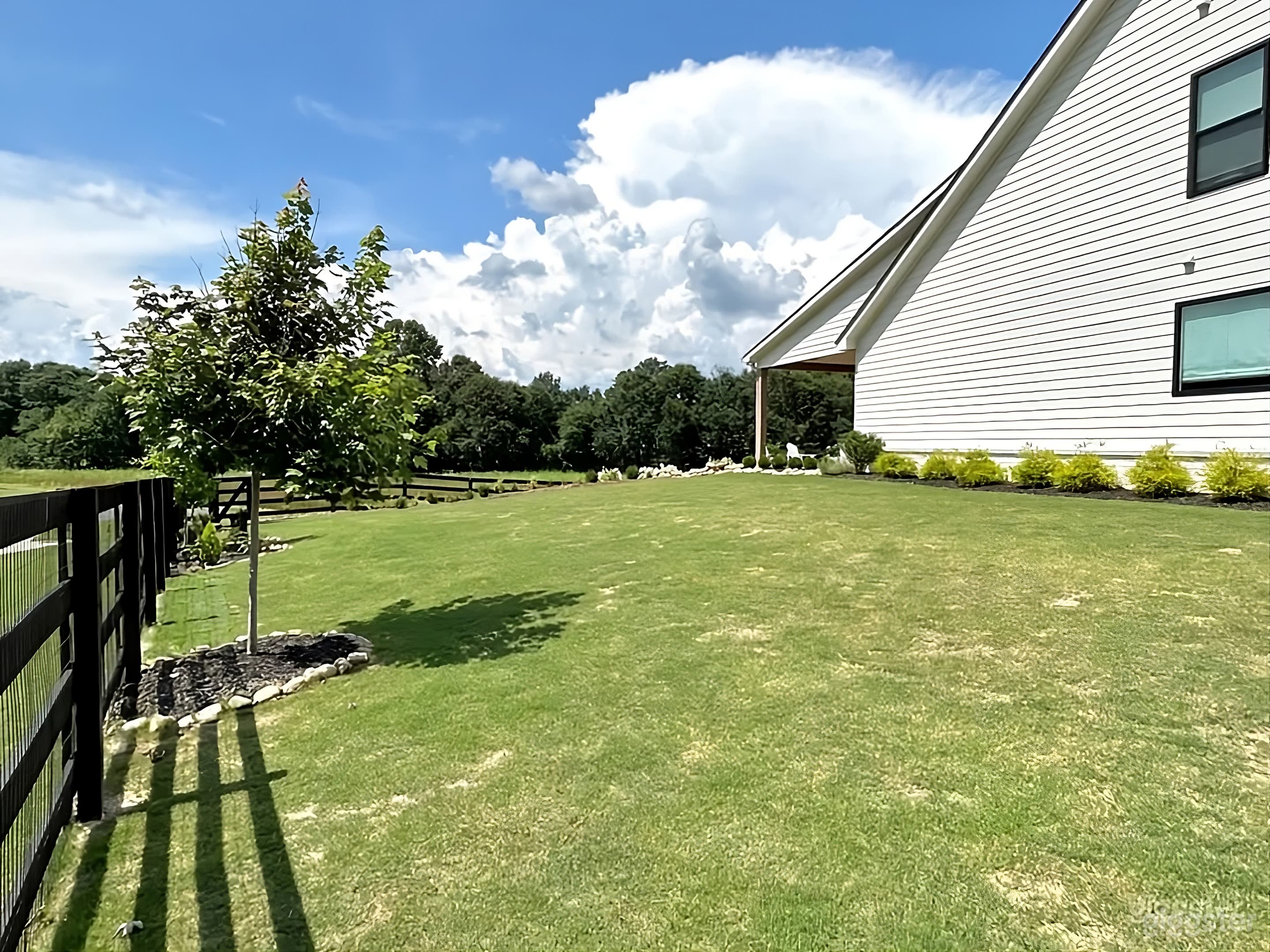 Scenic Countryside Backyard Photo 4