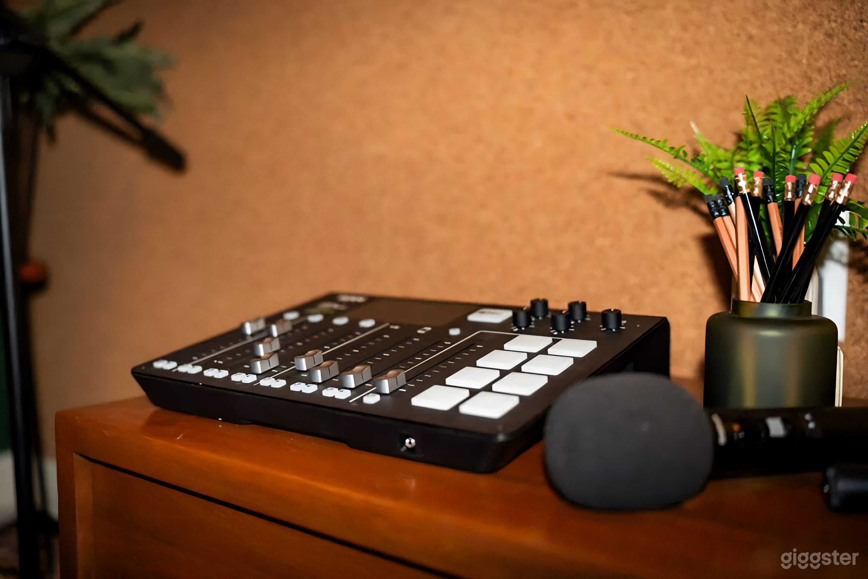 Cozy & Professional Podcast Studio Photo 2